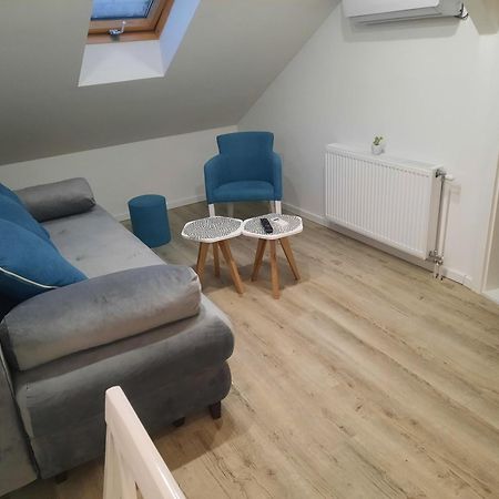 Apartman Mn Vrnjačka Banja Rum bild